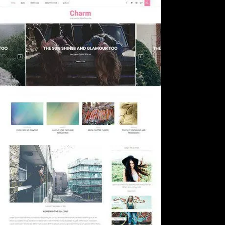 Free Blog WordPress Theme