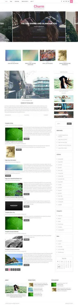 Free Blog WordPress Theme