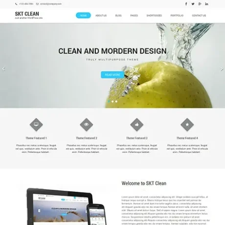 Free Clean WordPress Theme