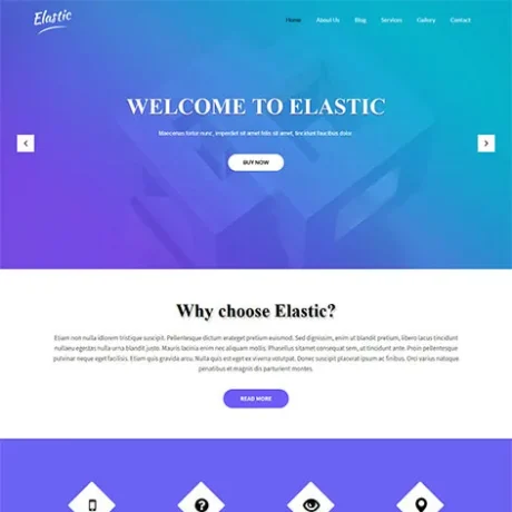 Free Elegant WordPress Theme