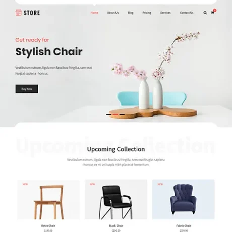 Free Estore WooCommerce WordPress Theme