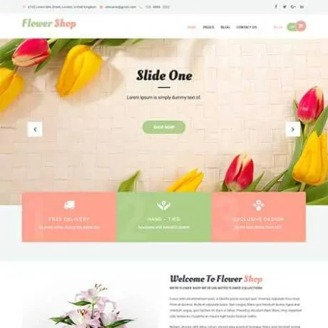 Free Store WordPress Theme