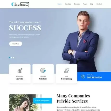 Free Consultant WordPress Theme