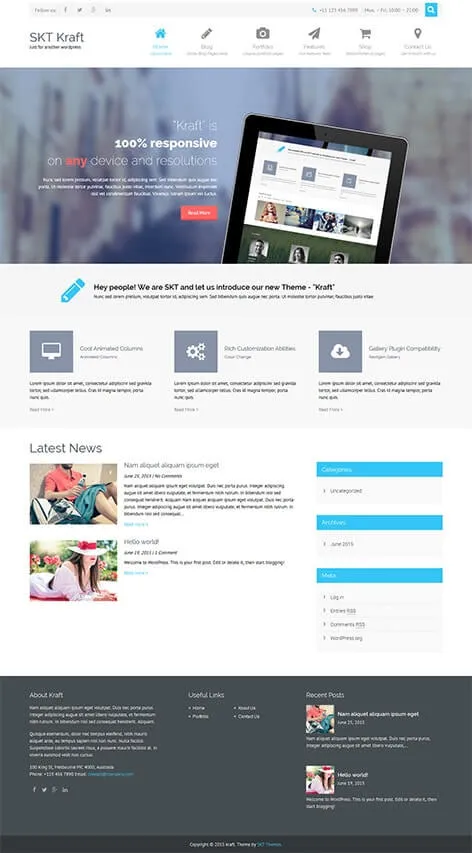 Free ECommerce WordPress Theme