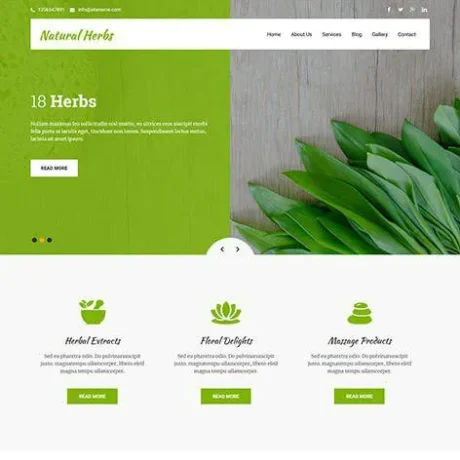Free Natural Herbs WordPress Theme