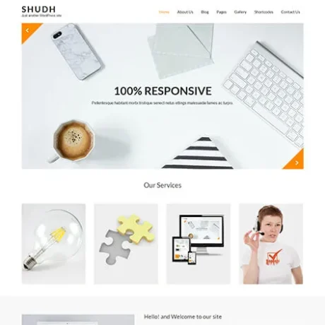 Free Professional WordPress Theme