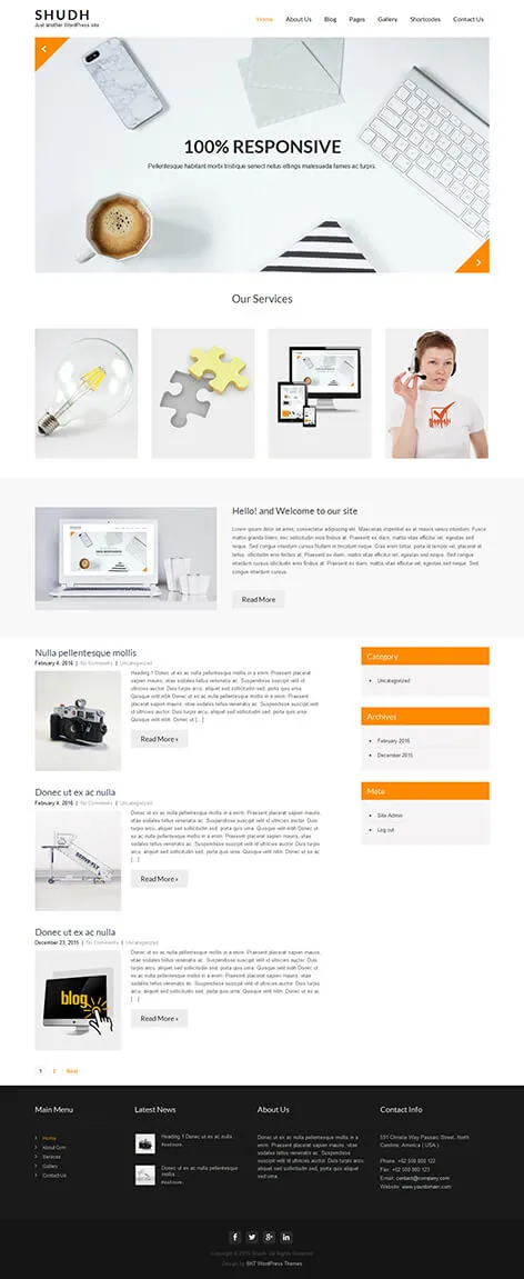 Free Professional WordPress Theme