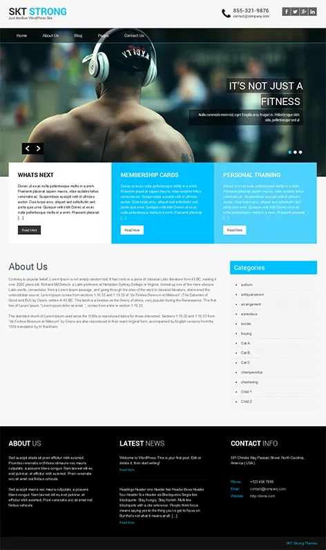 Free IT Business WordPress Theme