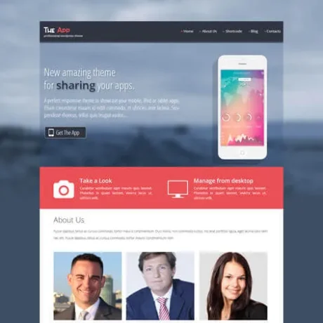 Free App WordPress Theme