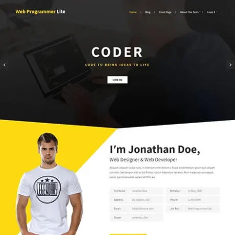Free Designer WordPress Theme