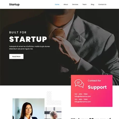 free startup WordPress theme