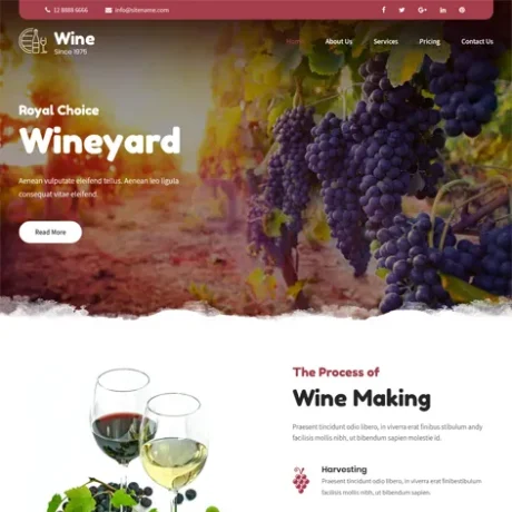Free Food Wine WordPress Theme