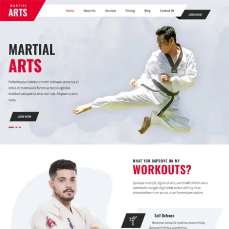 Free Karate WordPress Theme