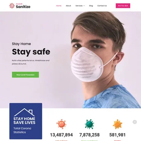 Free Disinfection WordPress Theme