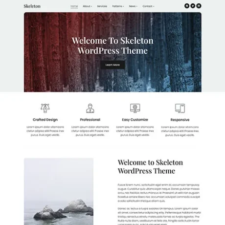 free basic WordPress theme