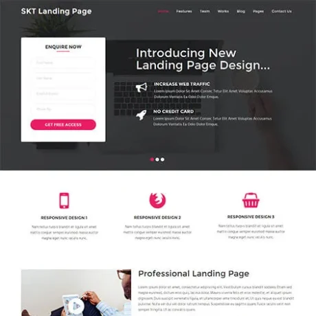 Landing Page WordPress Theme