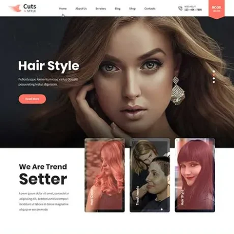 Salon WordPress Theme