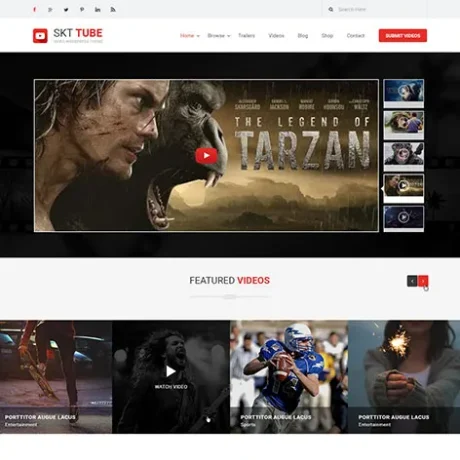 Video WordPress Theme