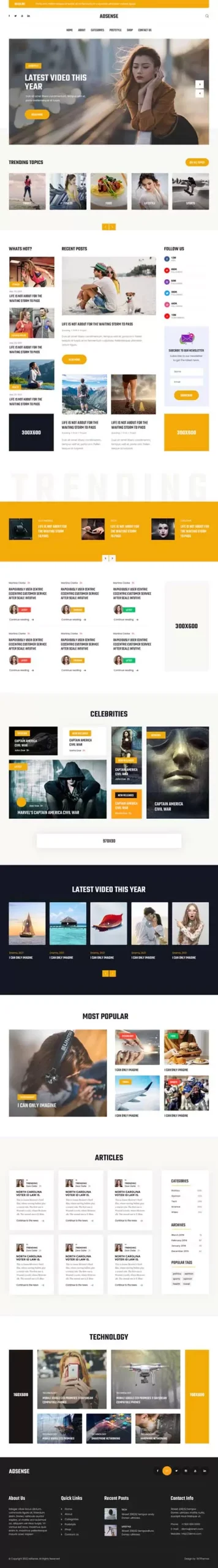 AdSense WordPress Theme