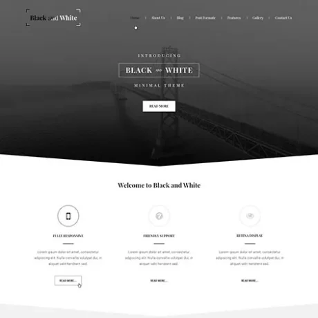 Modern WordPress Theme for Contemporary Business and Creative Sites