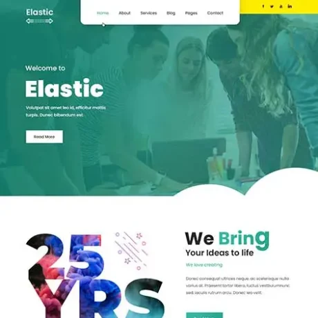 Dynamic WordPress Theme