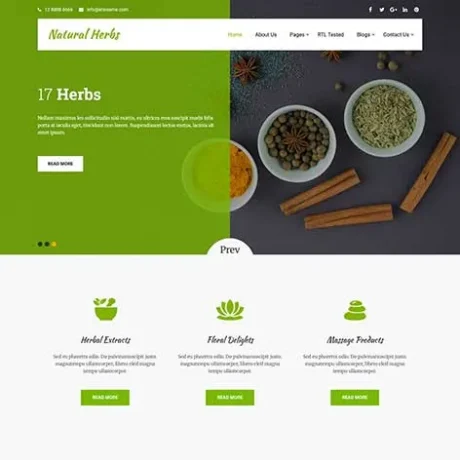 Herbal Store WordPress Theme