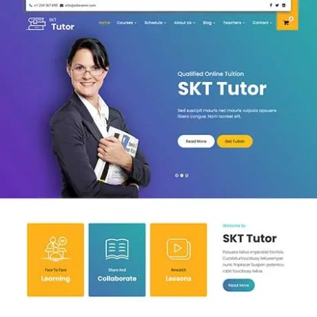 Online Test WordPress Theme