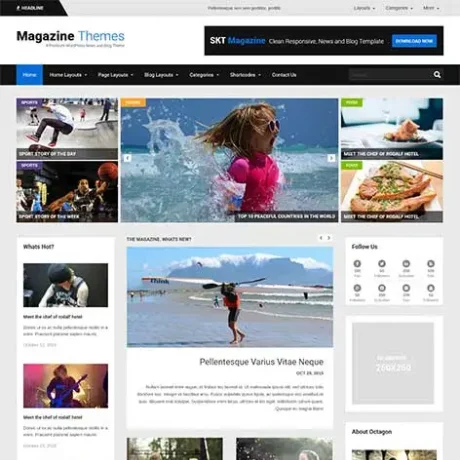 2 or 3 Column WordPress Theme