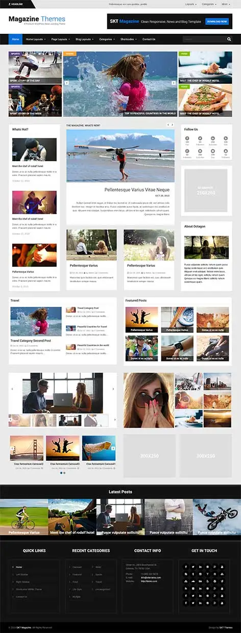 2 or 3 Column WordPress Theme
