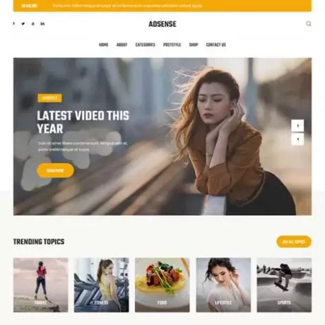 Adsense Friendly WordPress Theme