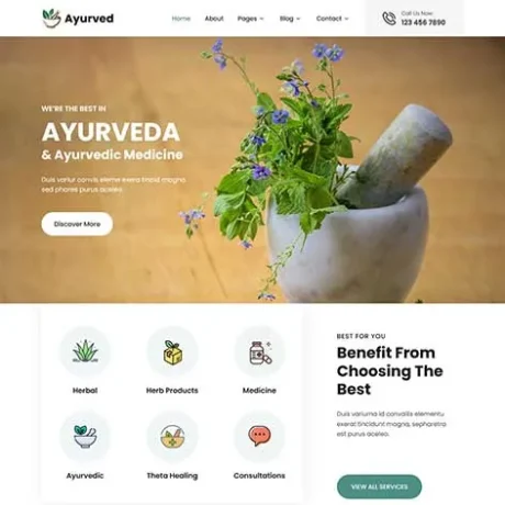 Aesthetic WordPress Theme